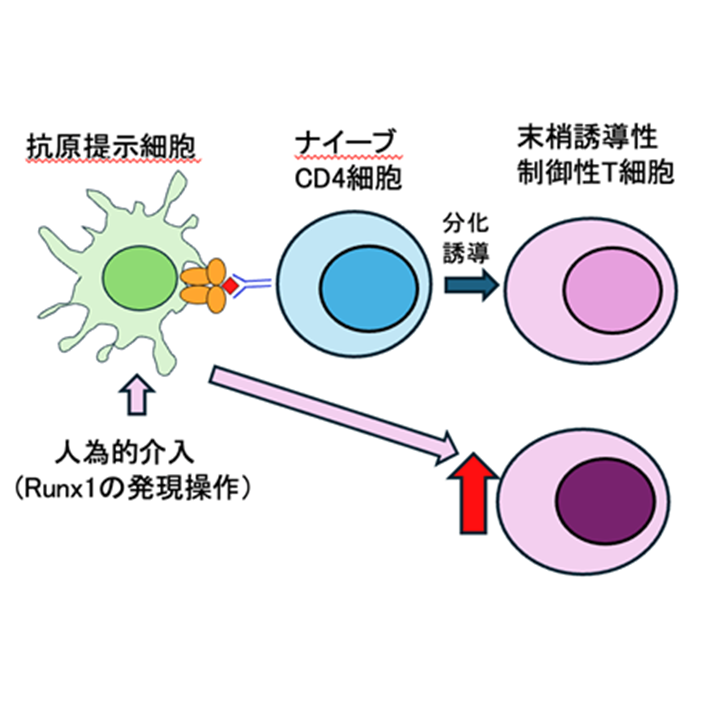 東京医科大学