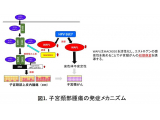 東京医科大学