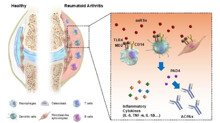スナックと簡単なレシピのオプション