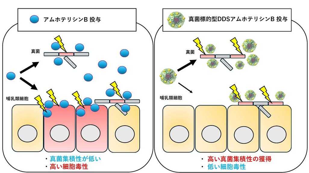 東京医科大学