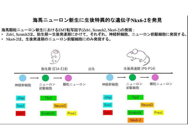 東京医科大学