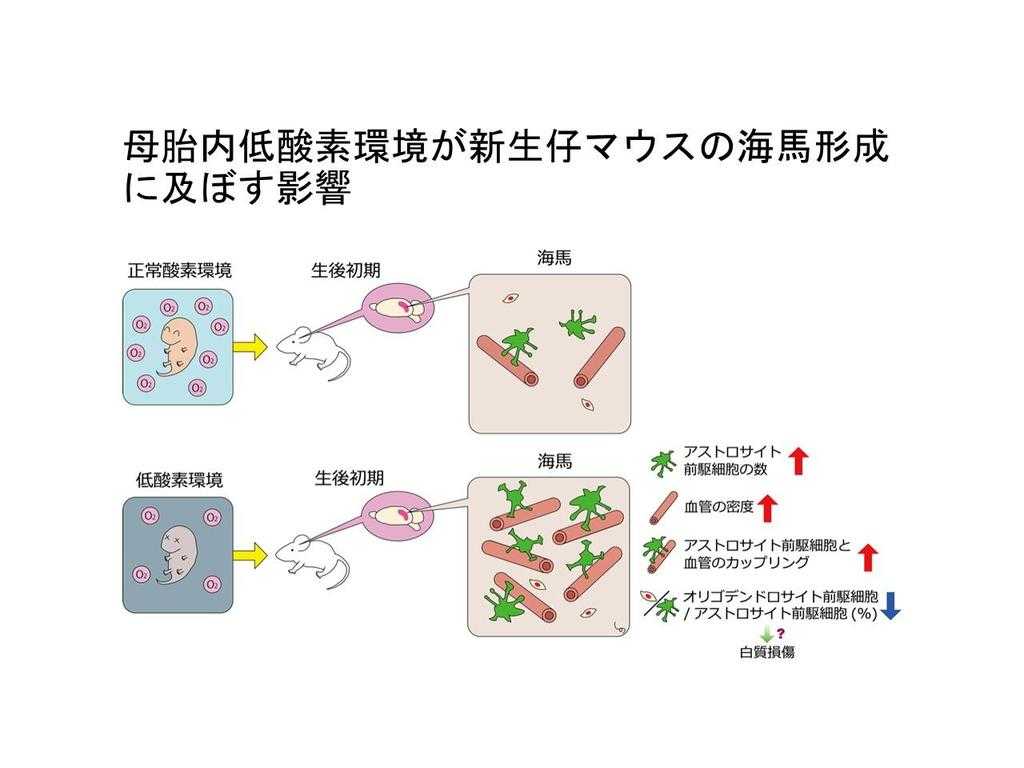 東京医科大学