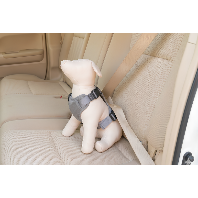 コンビ株式会社