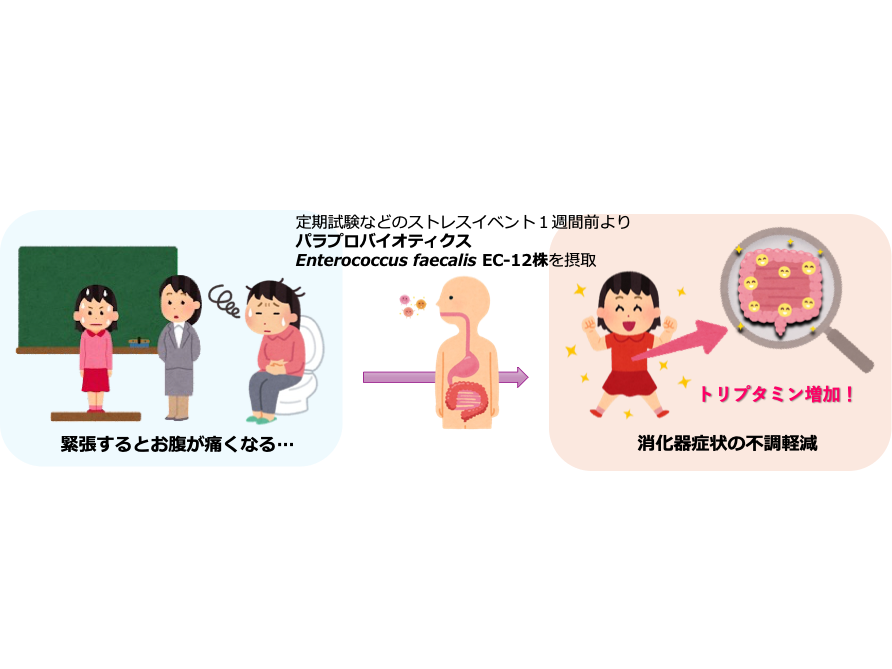 コンビ株式会社