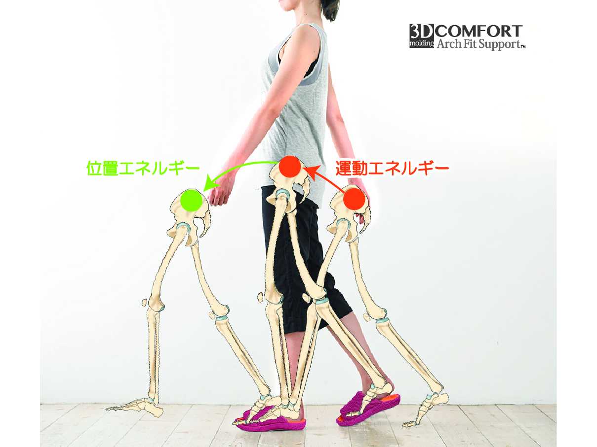 センコーグループホールディングス株式会社