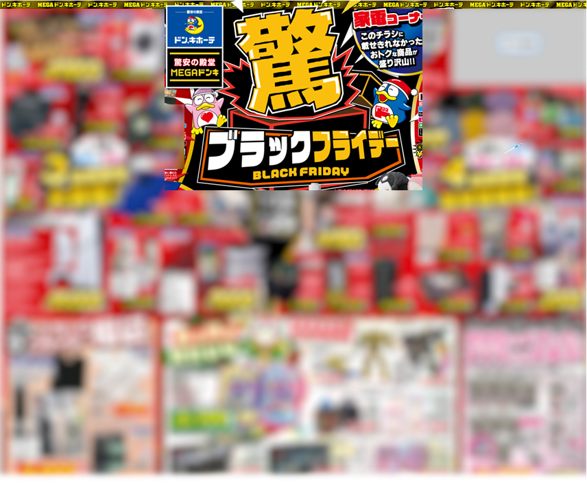 DSチラシイメージ