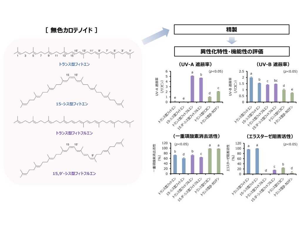 名城大学