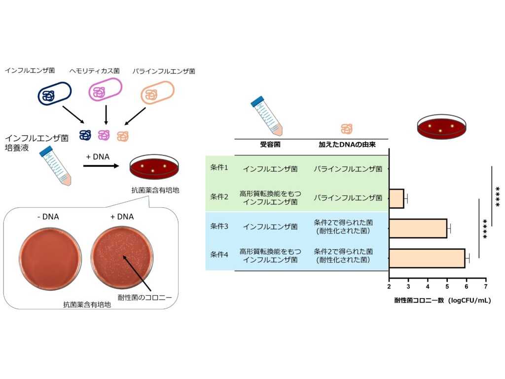 名城大学