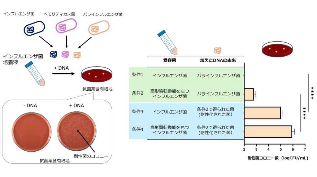 名城大学