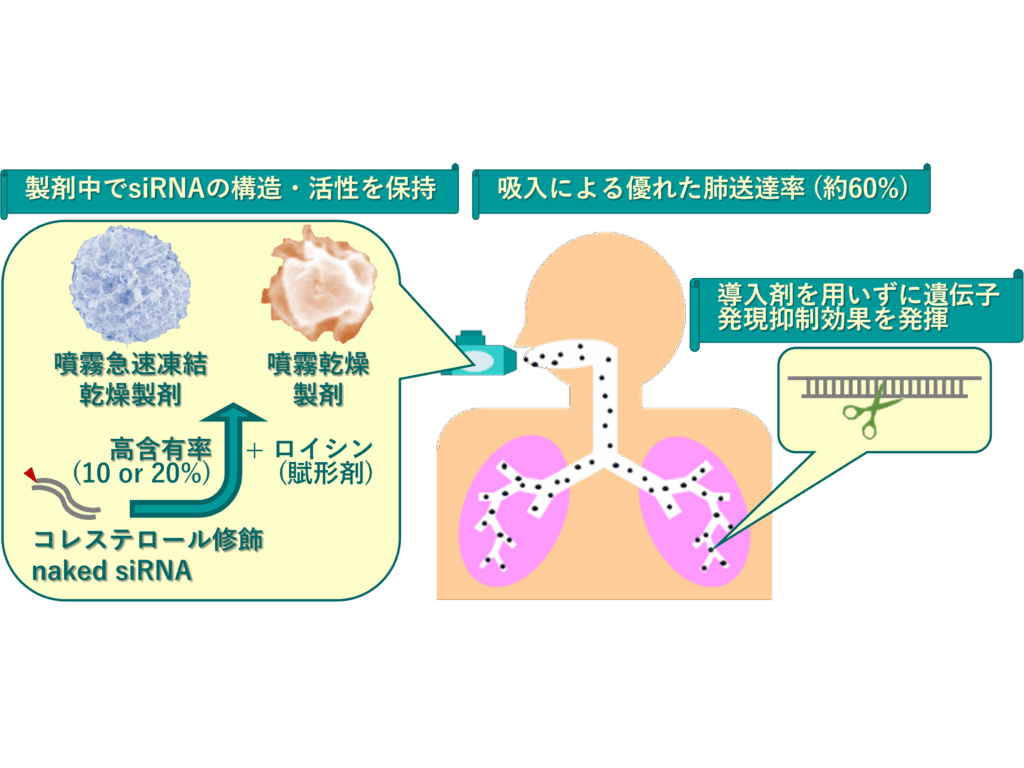 名城大学