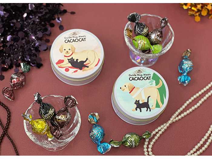 初コラボ！＞盲導犬と黒猫がお届けする、極上のチョコレート体験