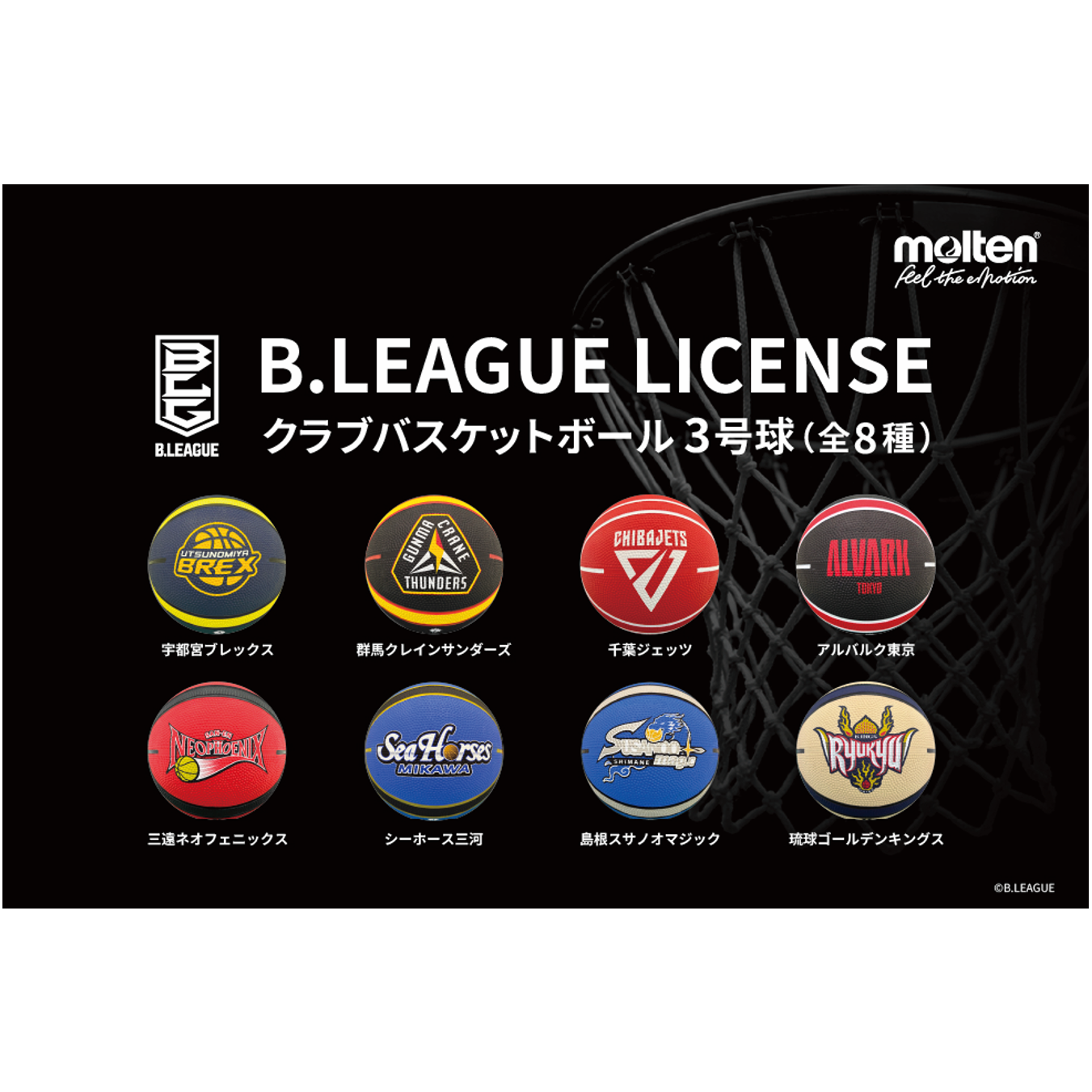 株式会社アルペン