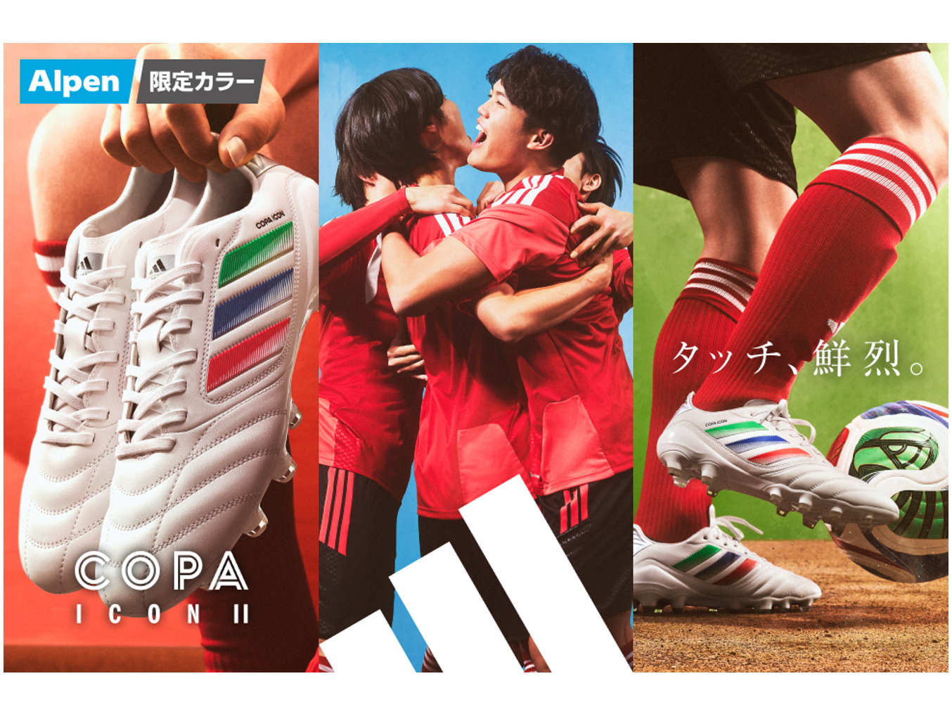 株式会社アルペン