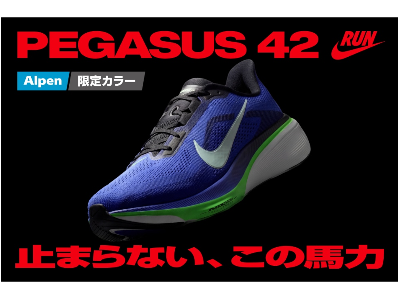 株式会社アルペン