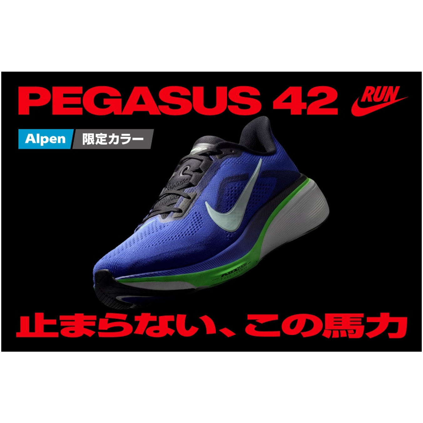 株式会社アルペン