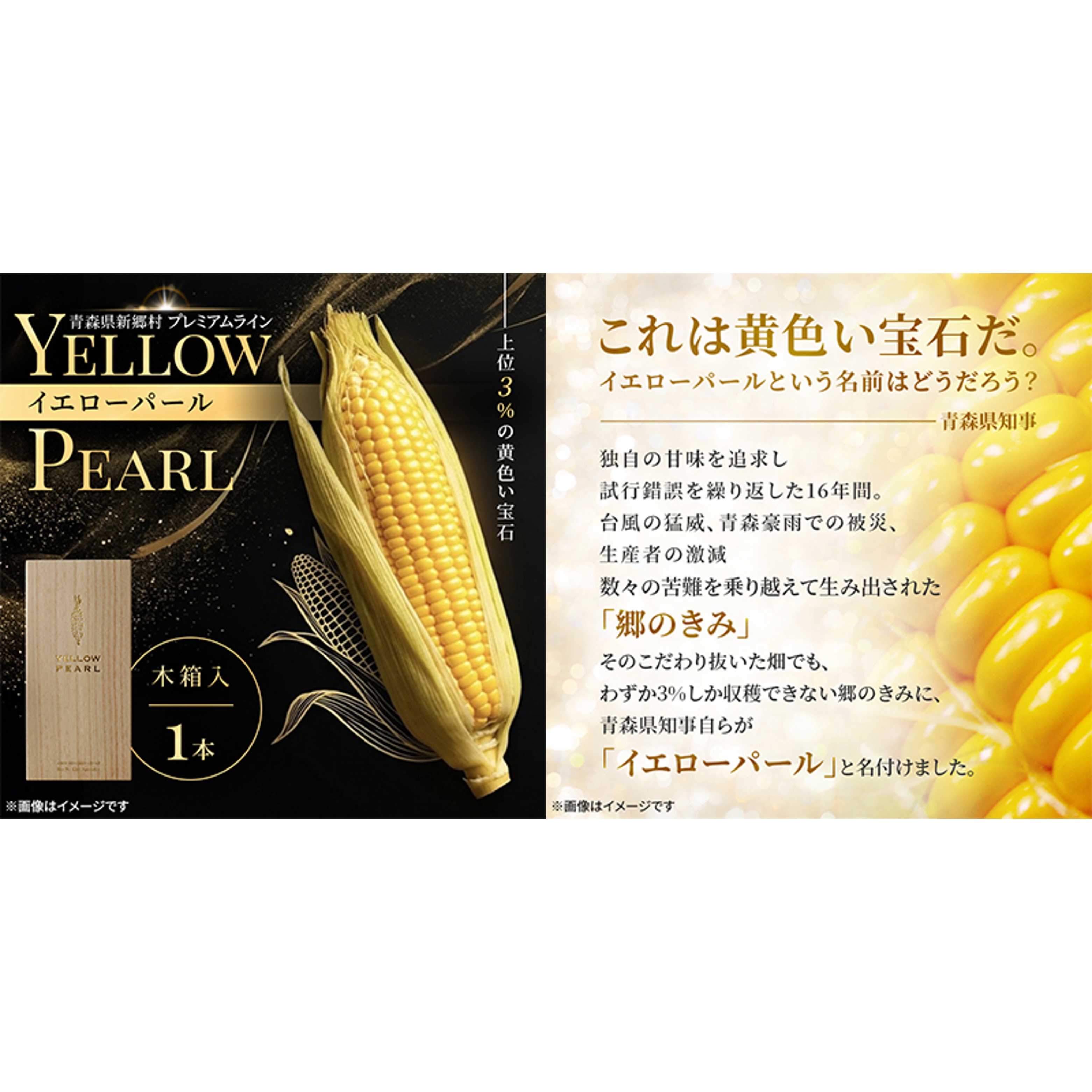 リリース