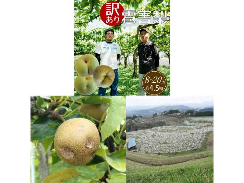 株式会社さとふる