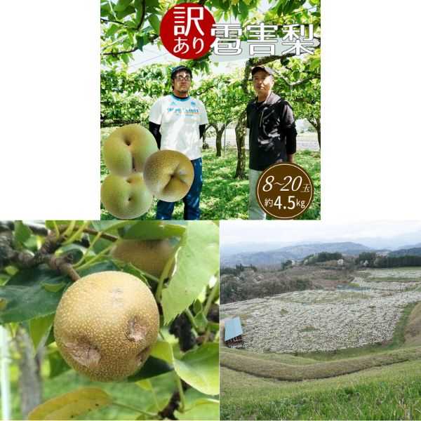 株式会社さとふる