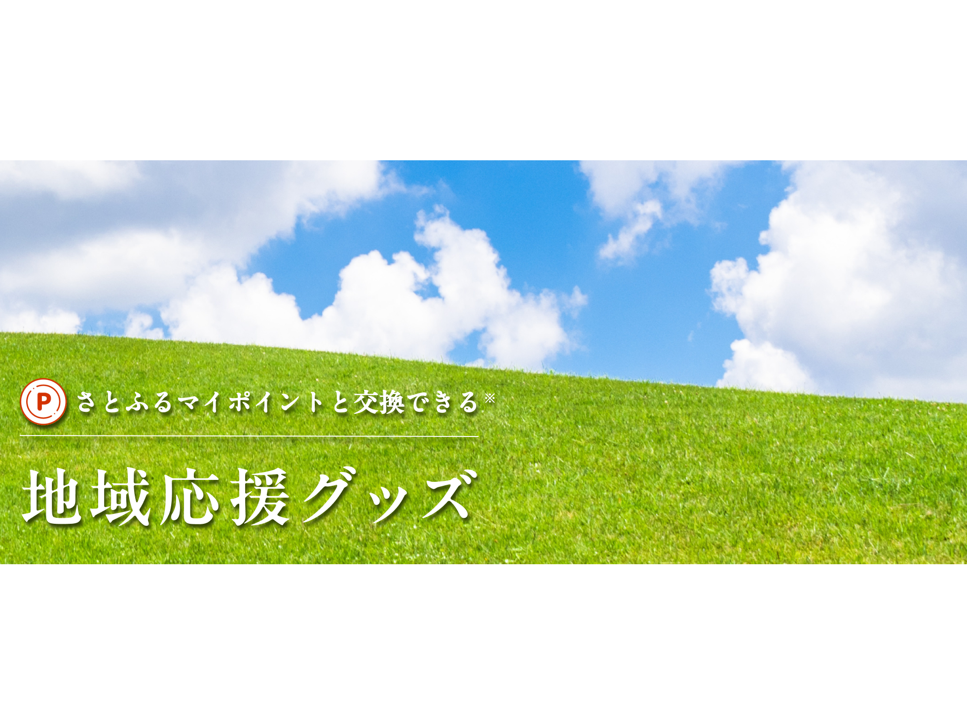 株式会社さとふる