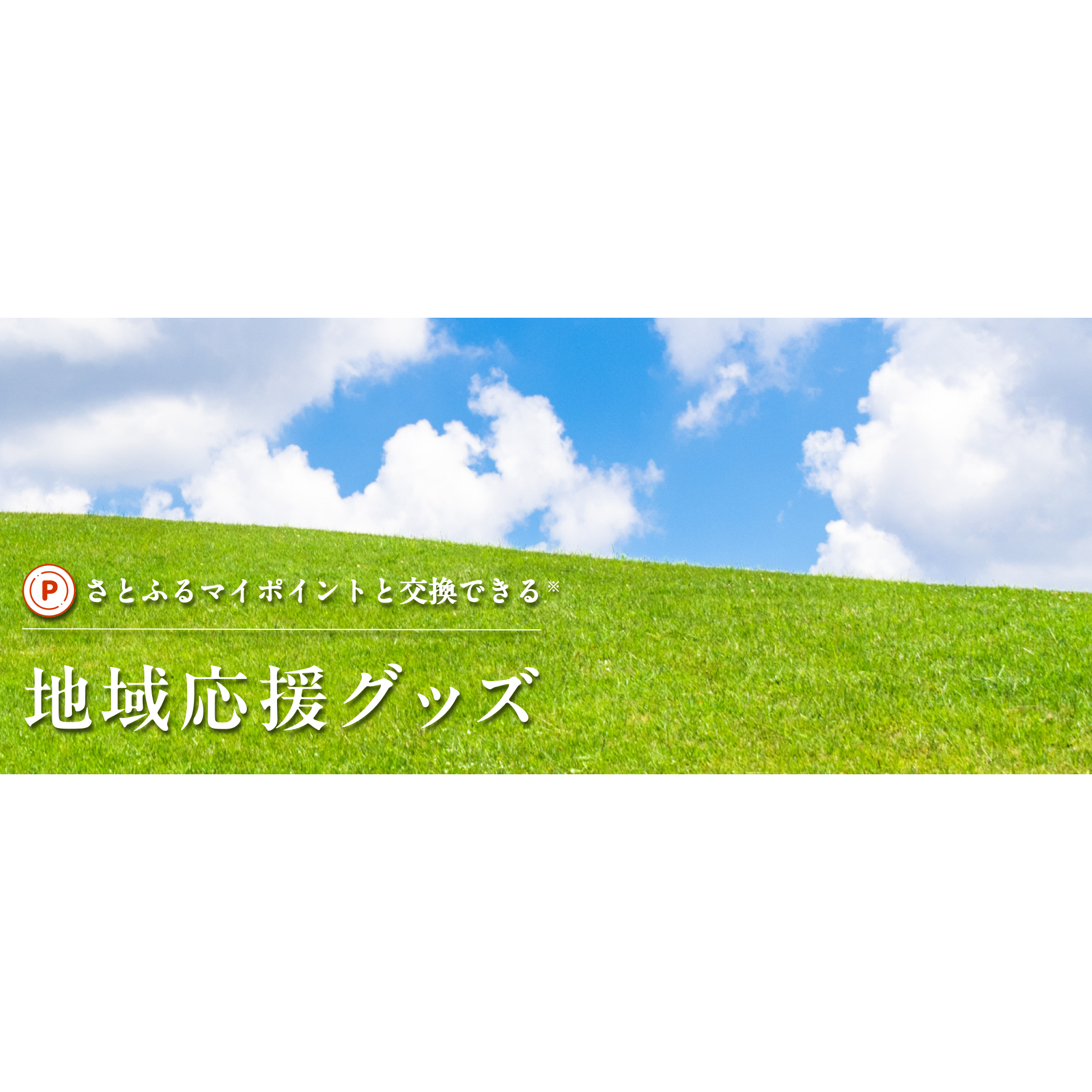 株式会社さとふる