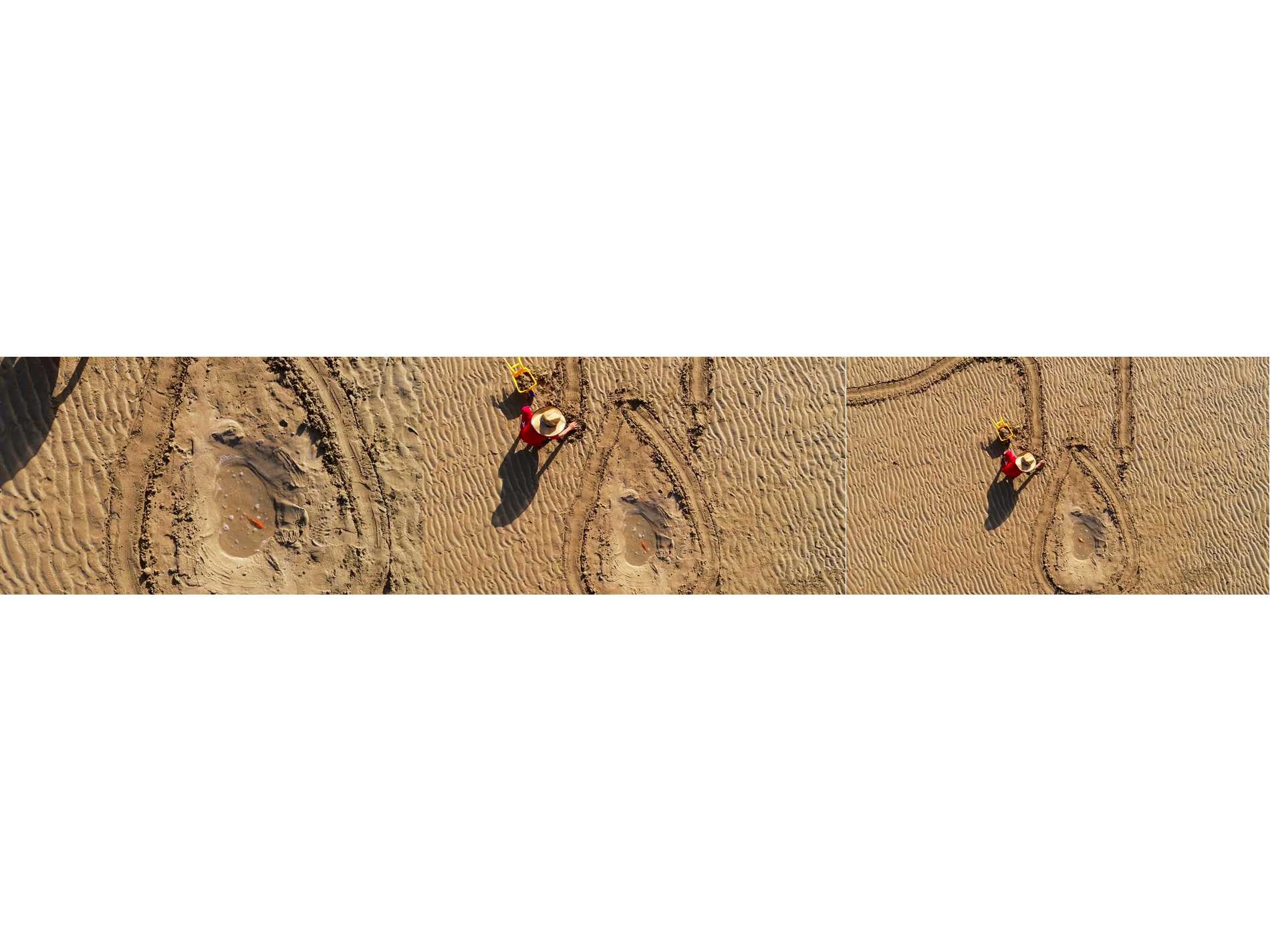 株式会社ニコン