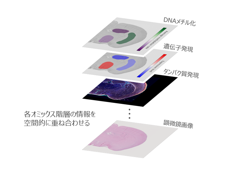 株式会社ニコン