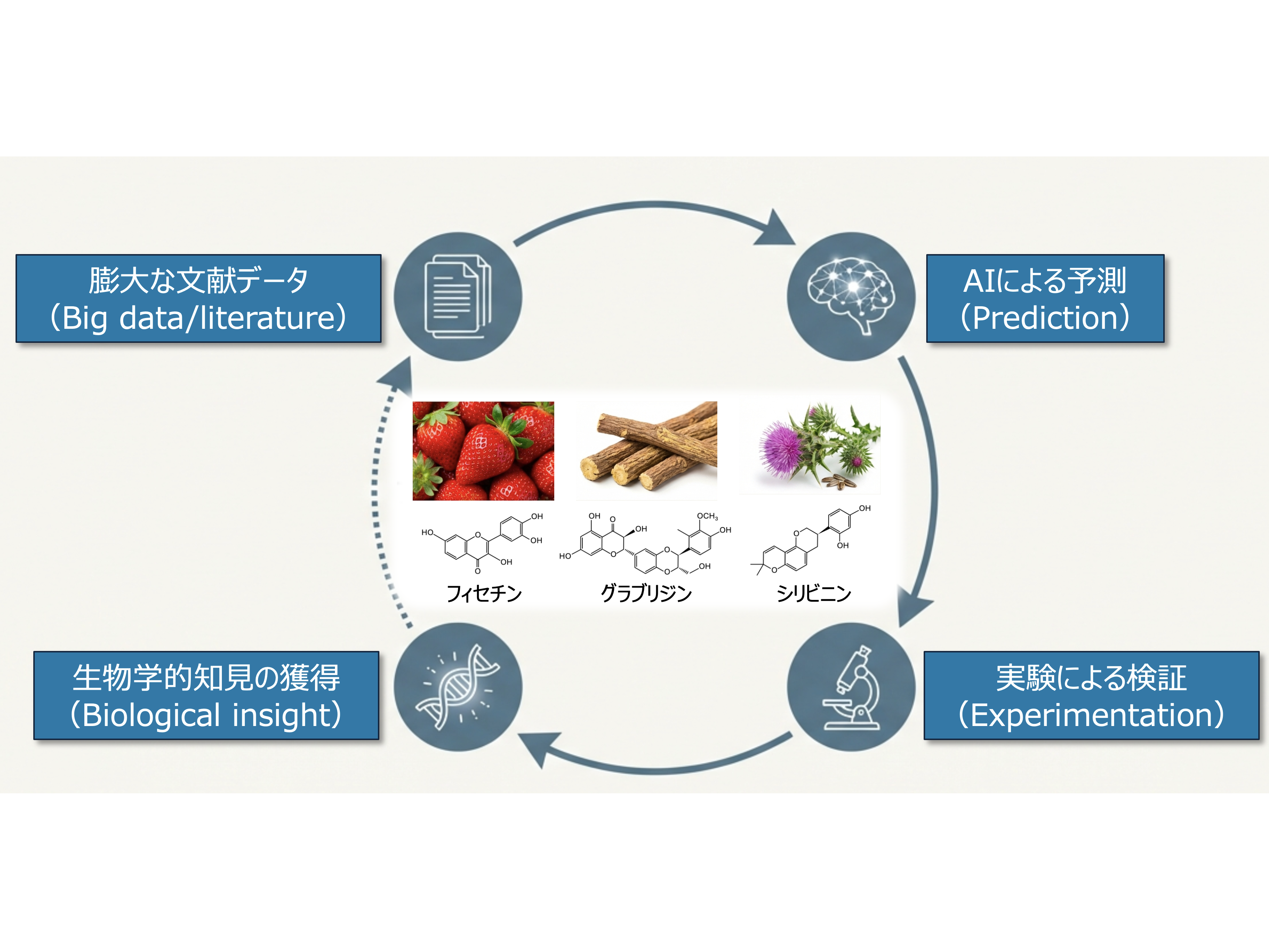学校法人東京農業大学