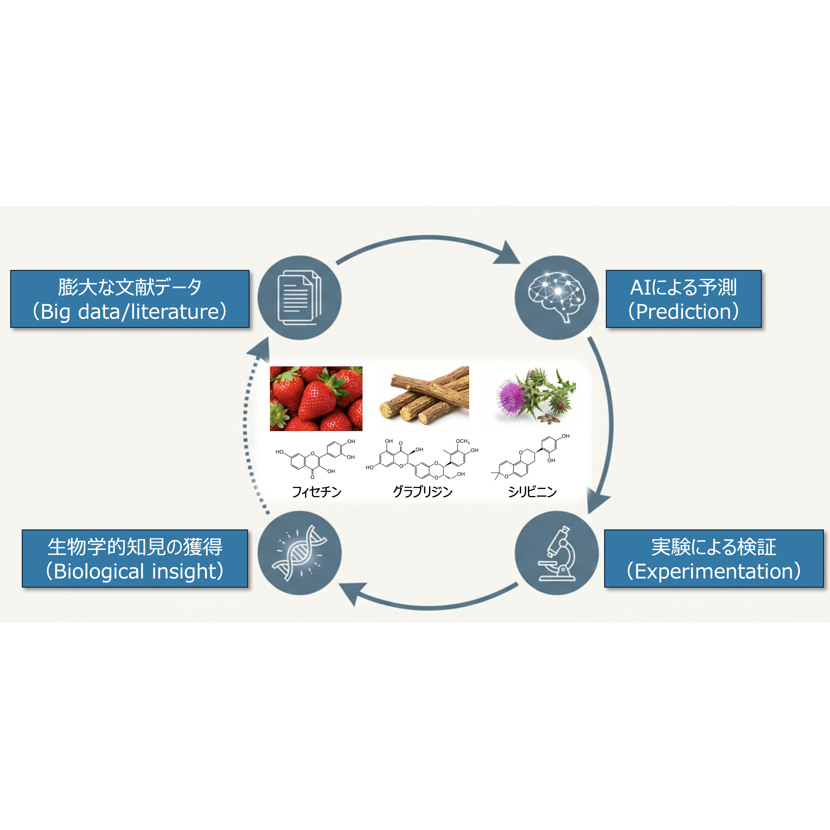 学校法人東京農業大学