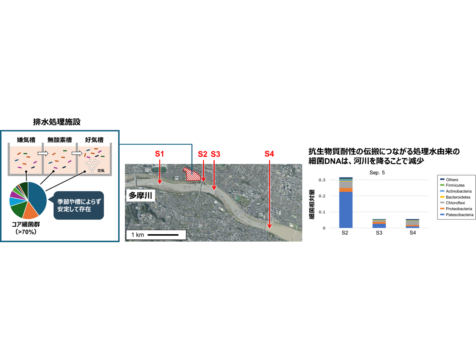 学校法人東京農業大学