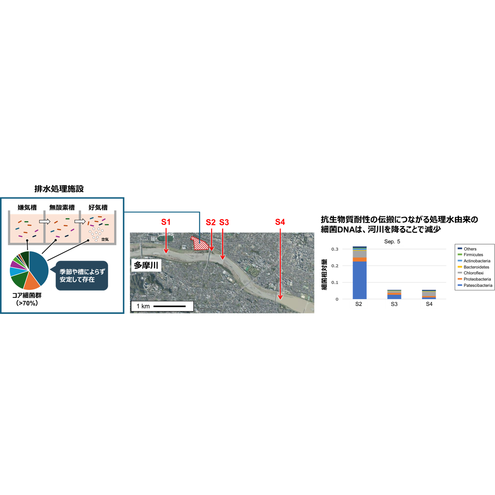 学校法人東京農業大学