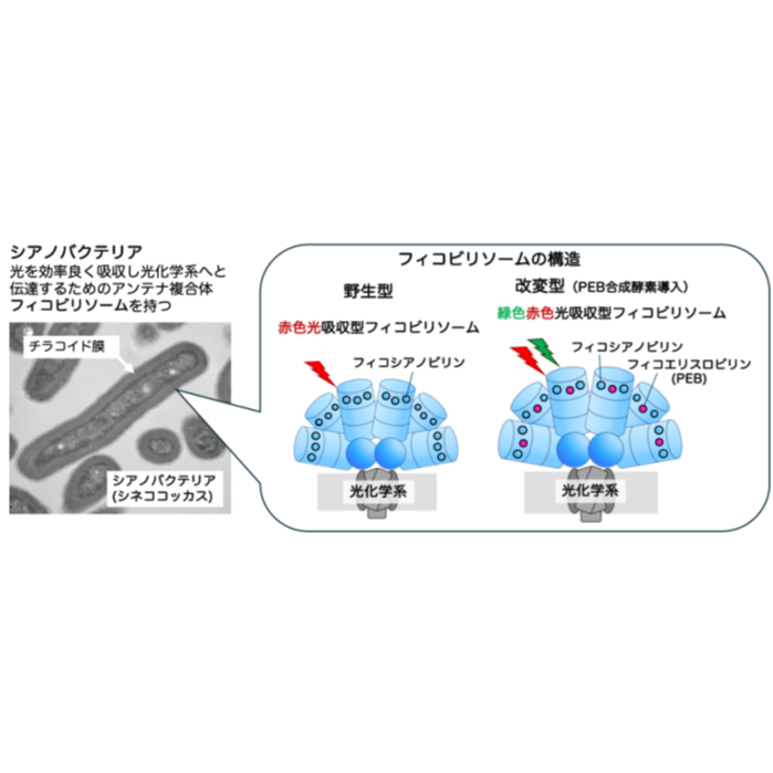 学校法人東京農業大学