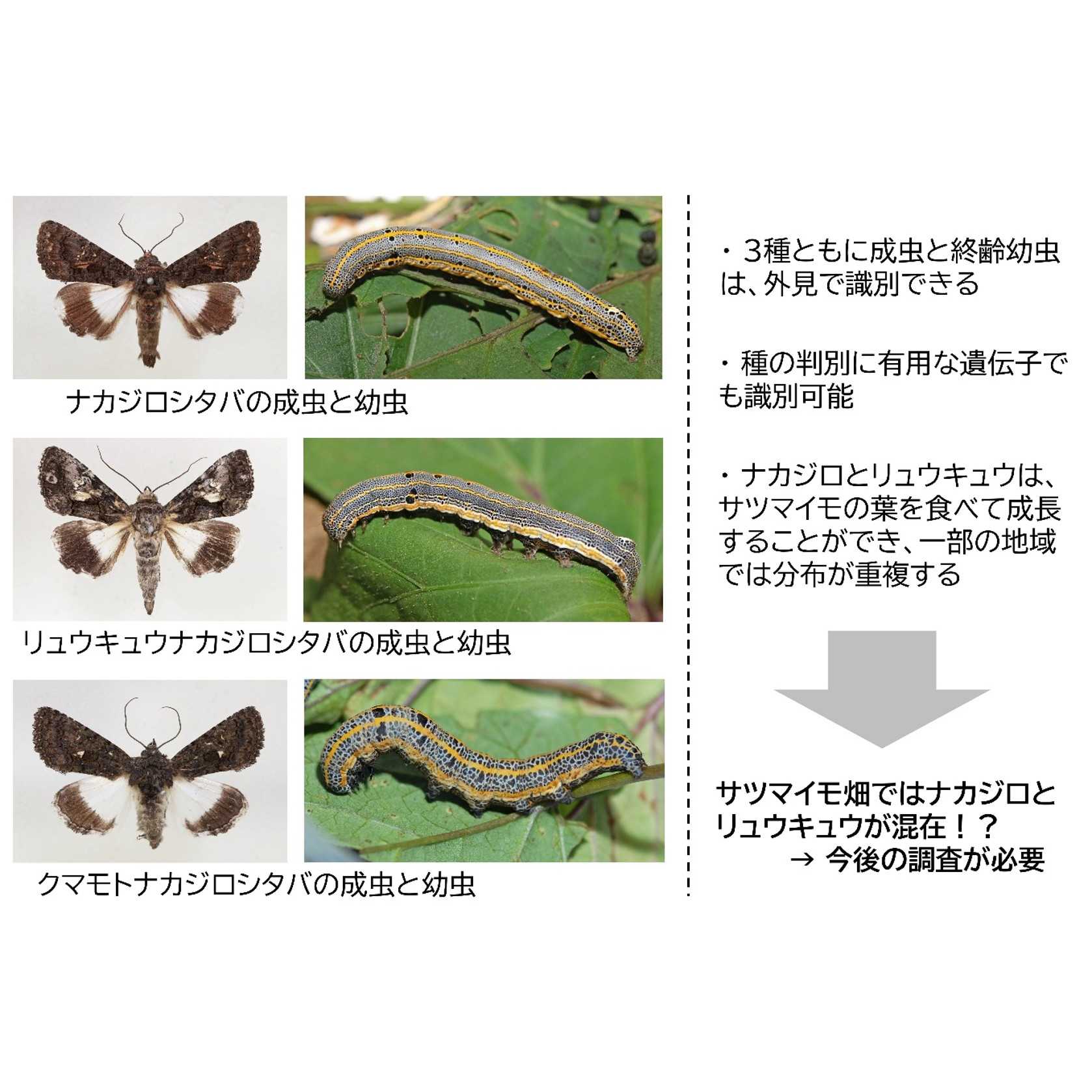 学校法人東京農業大学