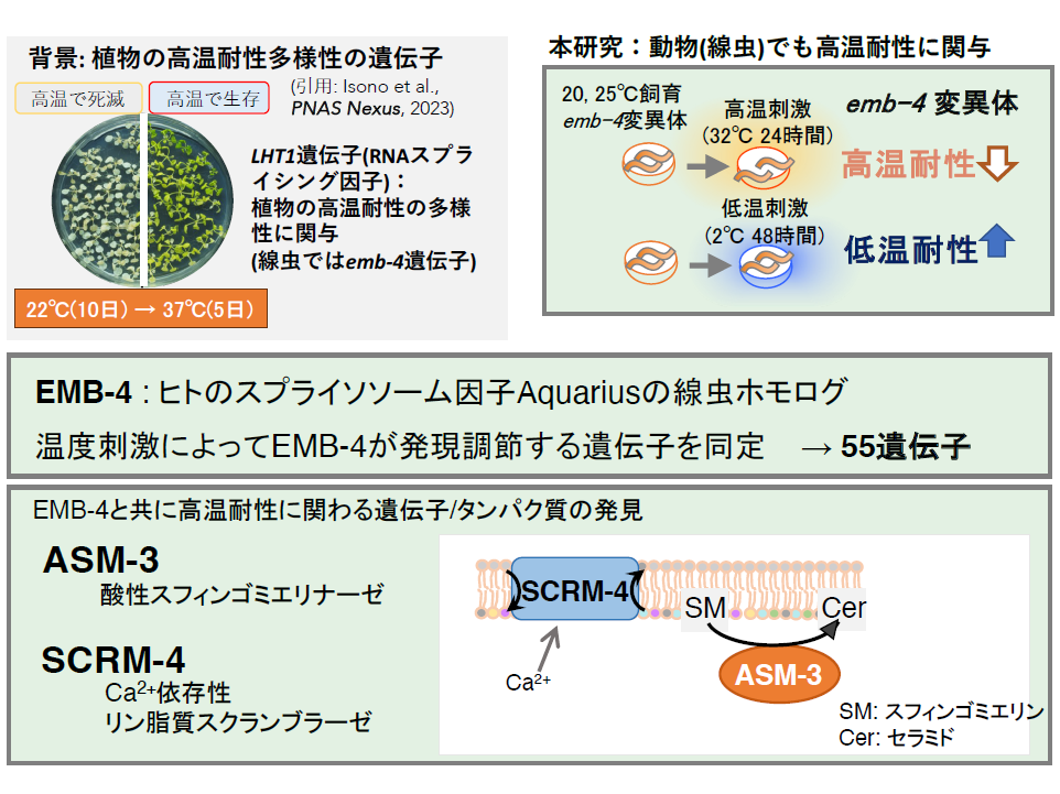 学校法人東京農業大学