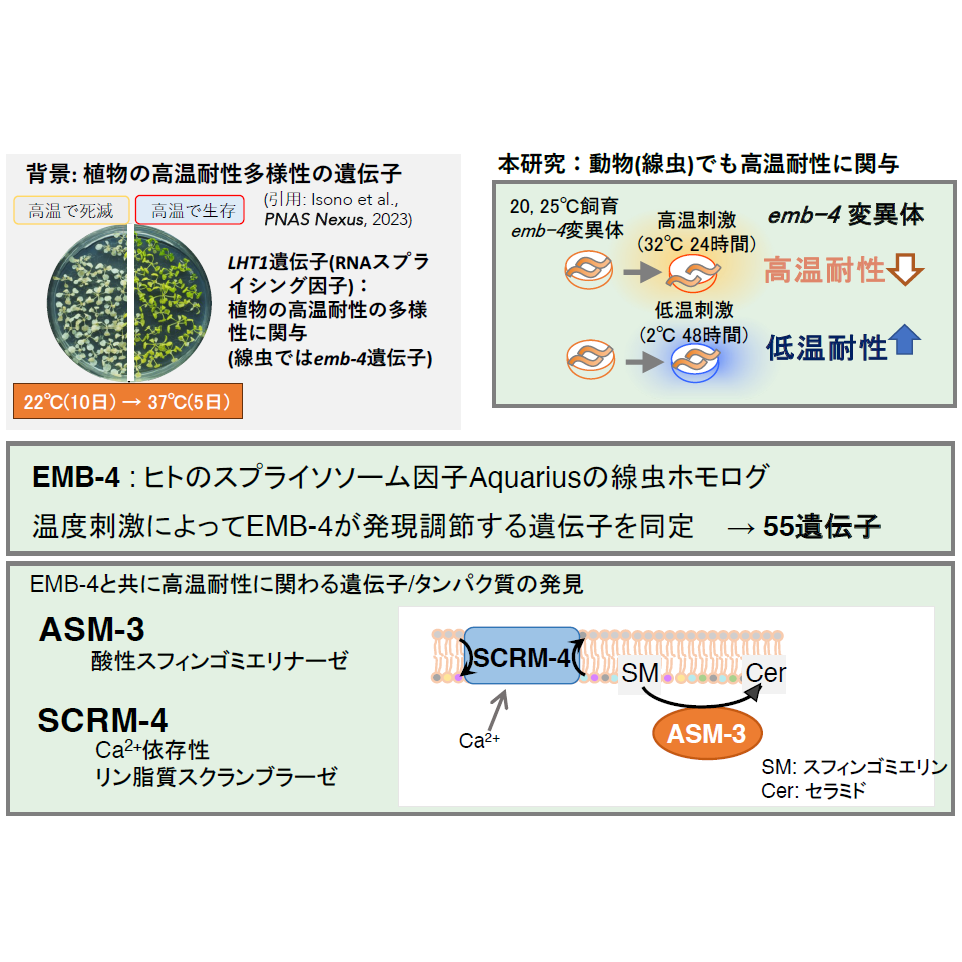 学校法人東京農業大学