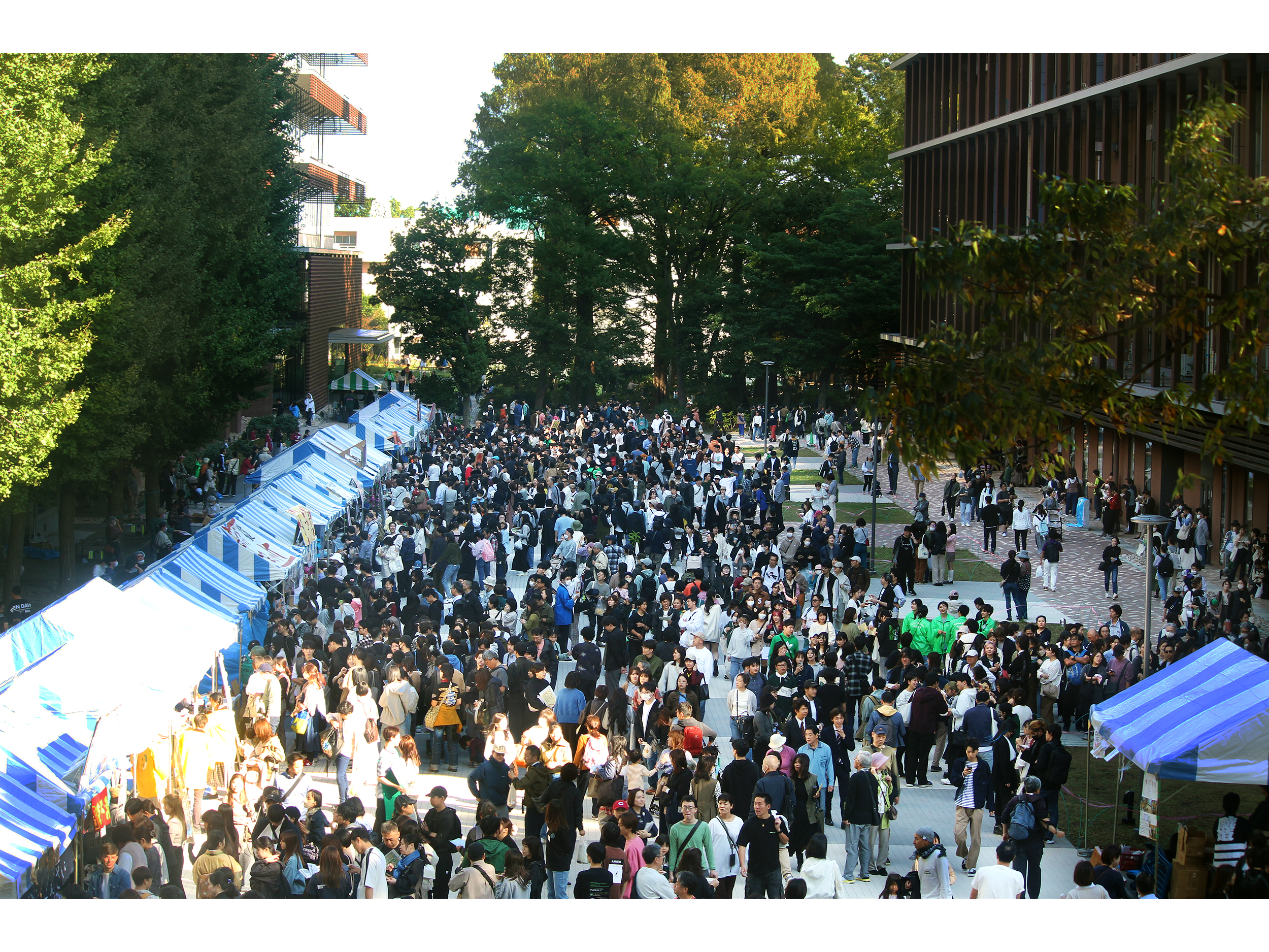 学校法人東京農業大学