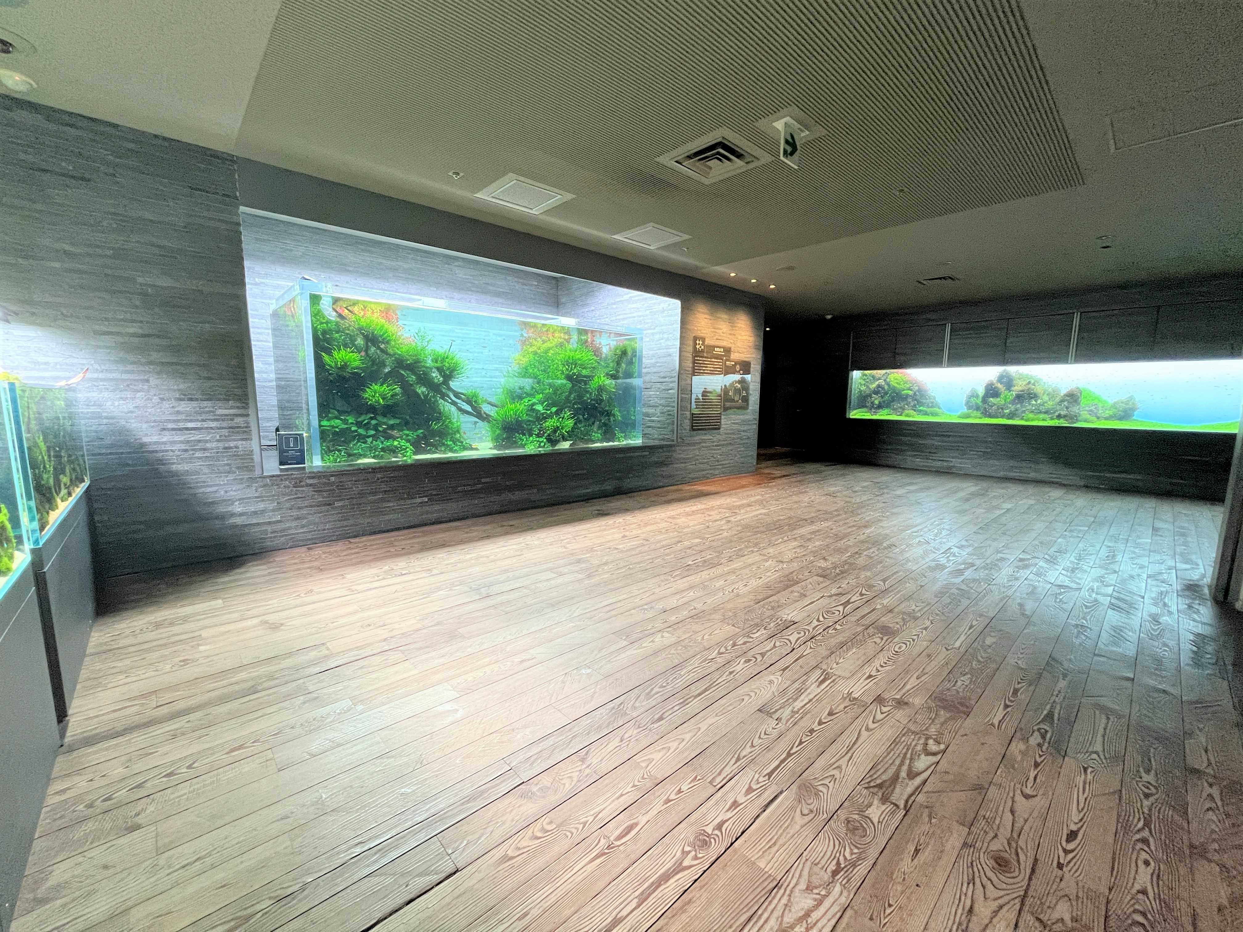 すみだ水族館】閉館後の水族館で人気エリア「自然水景」を体験 2種類の