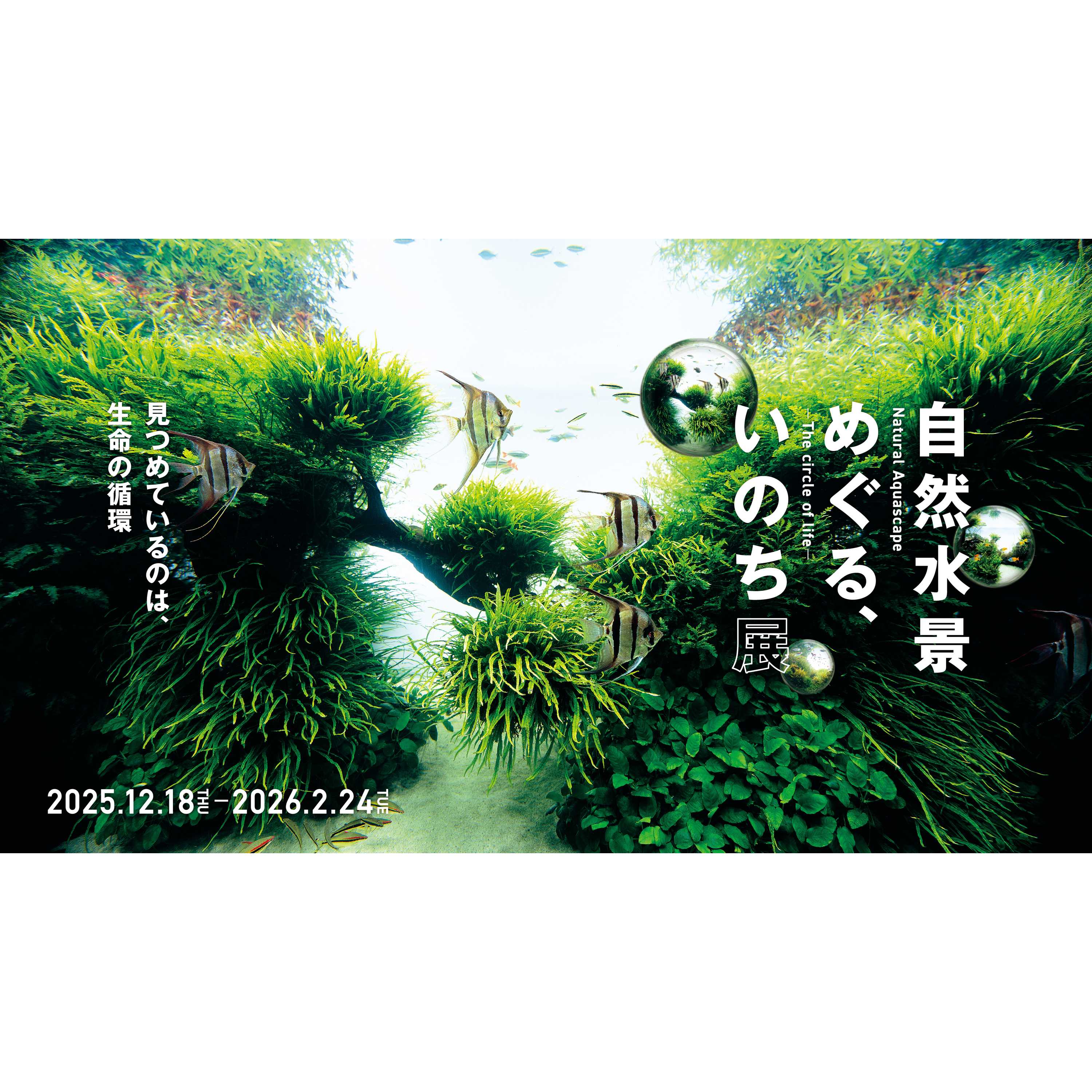 オリックス株式会社