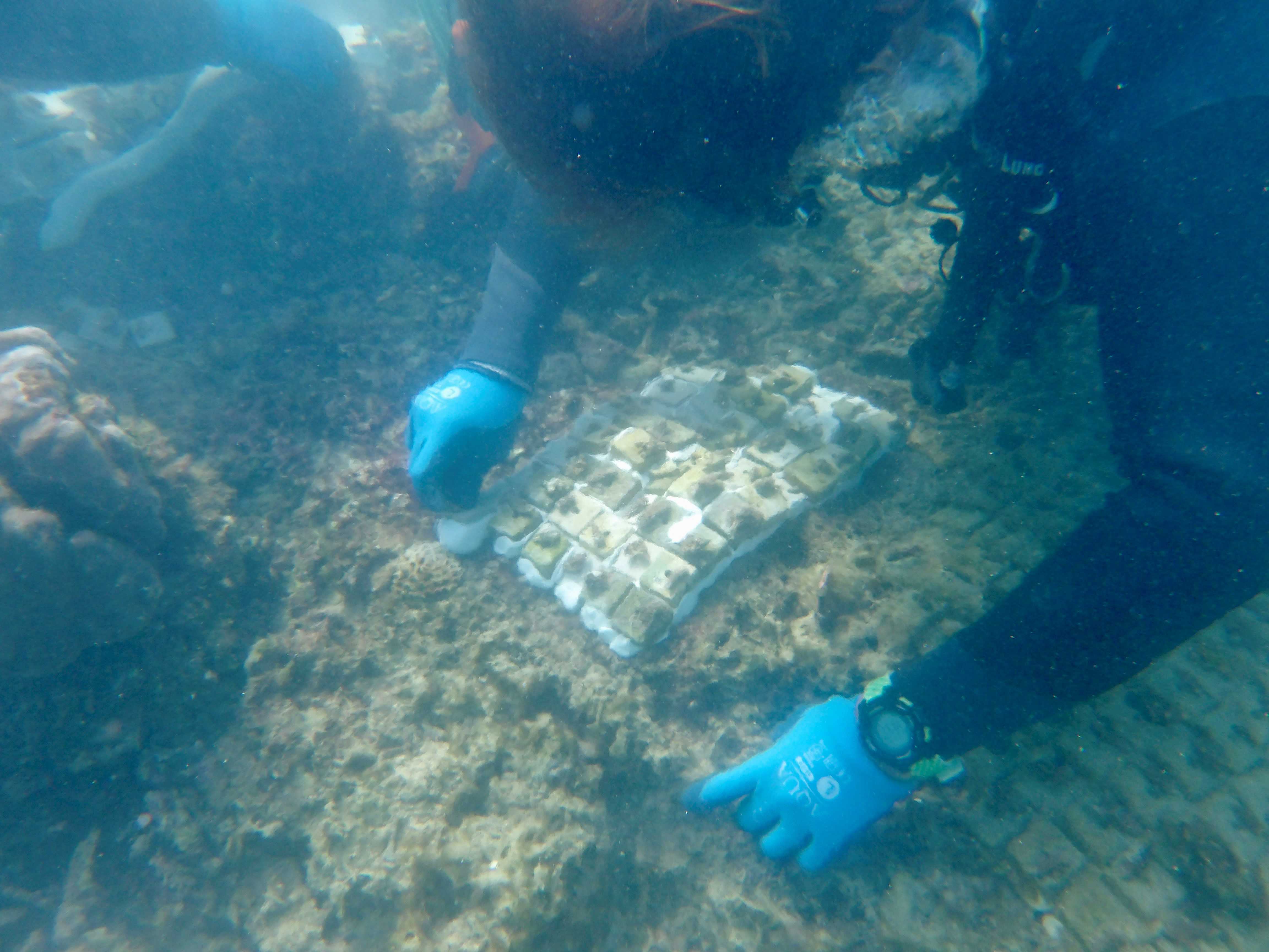 オリックス株式会社