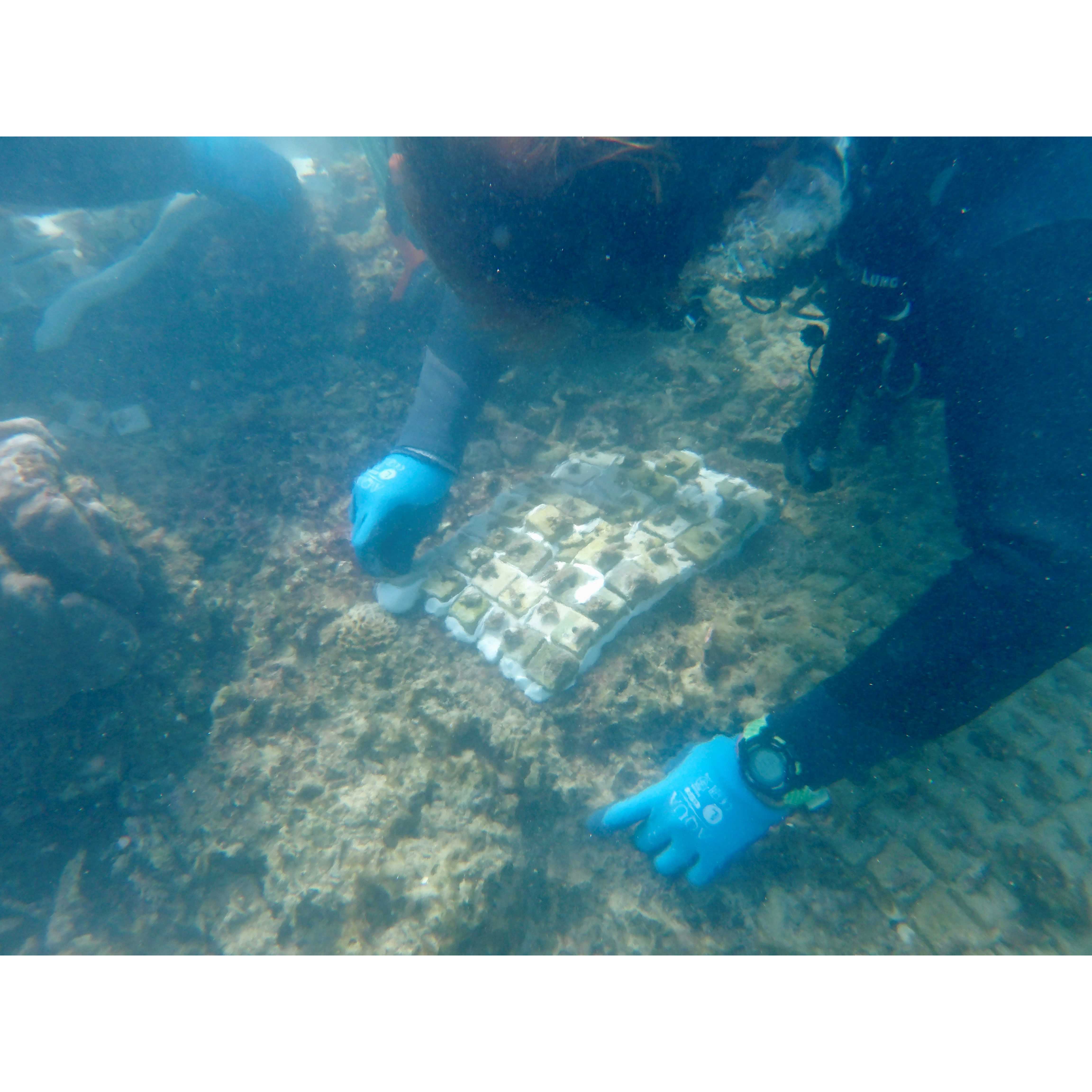 オリックス株式会社