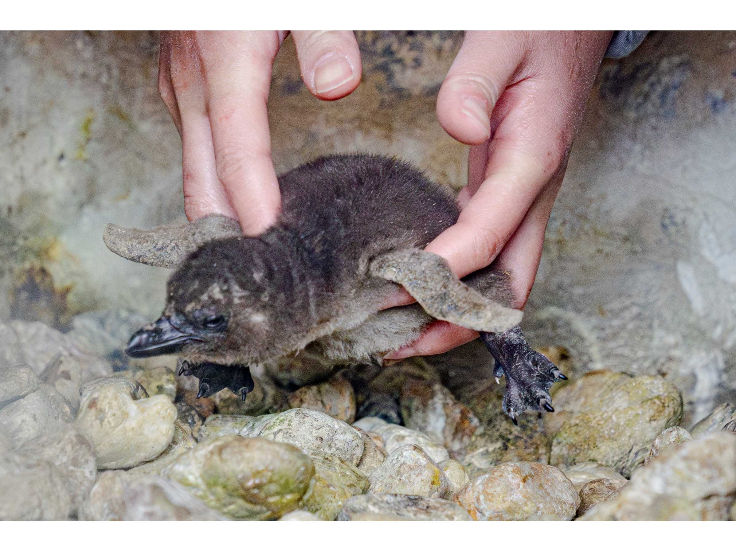 オリックス株式会社