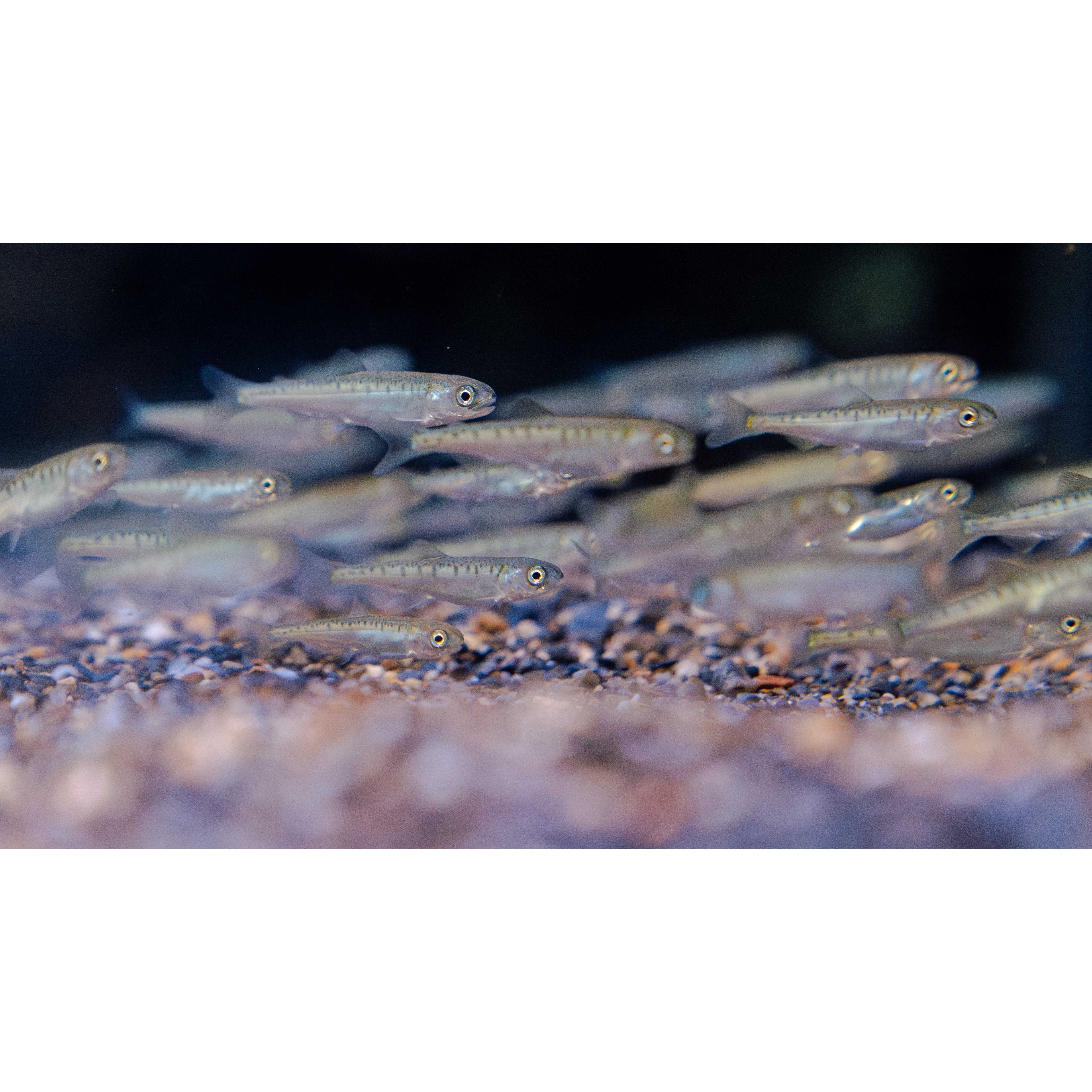 オリックス株式会社