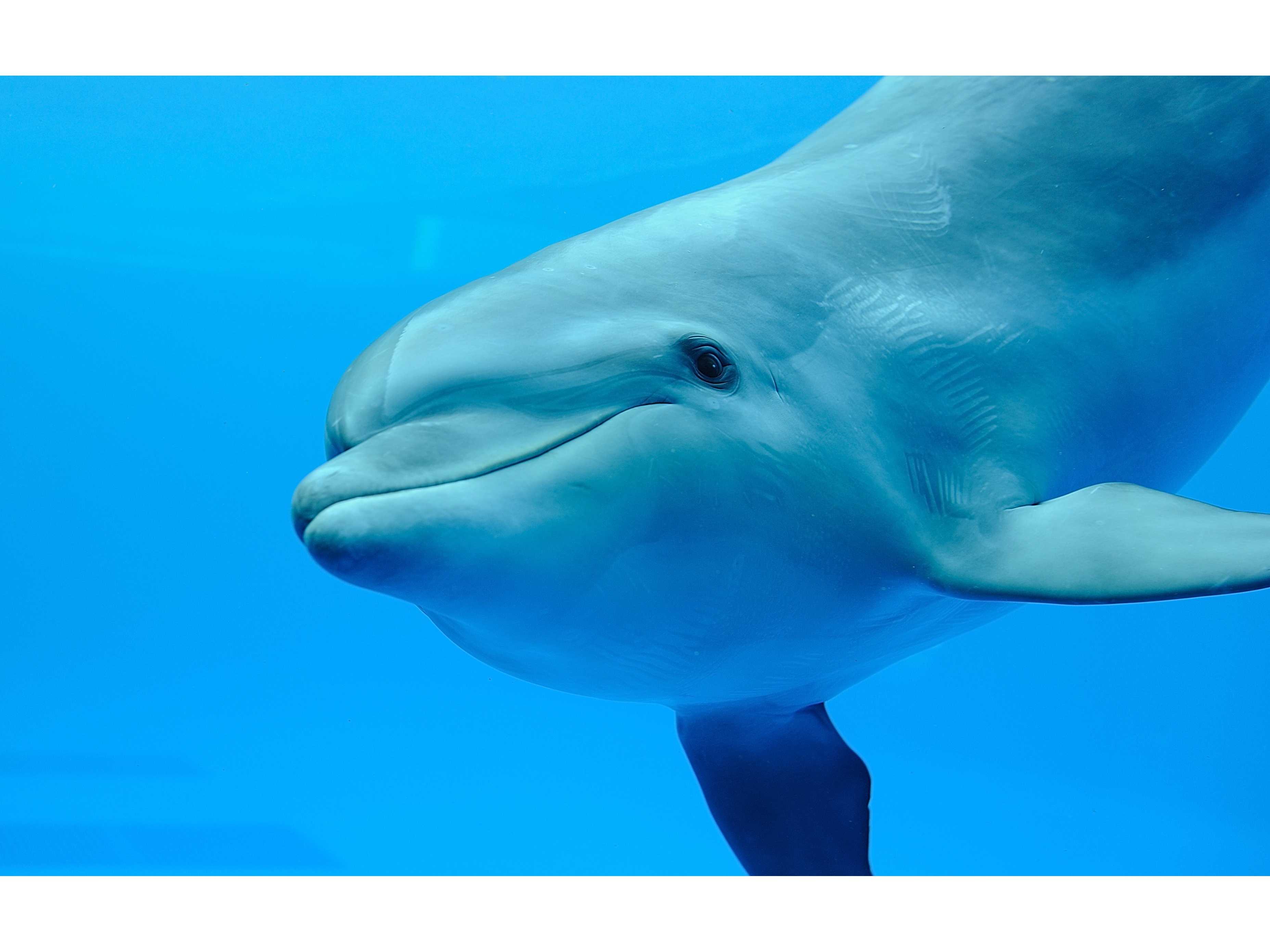 オリックス株式会社