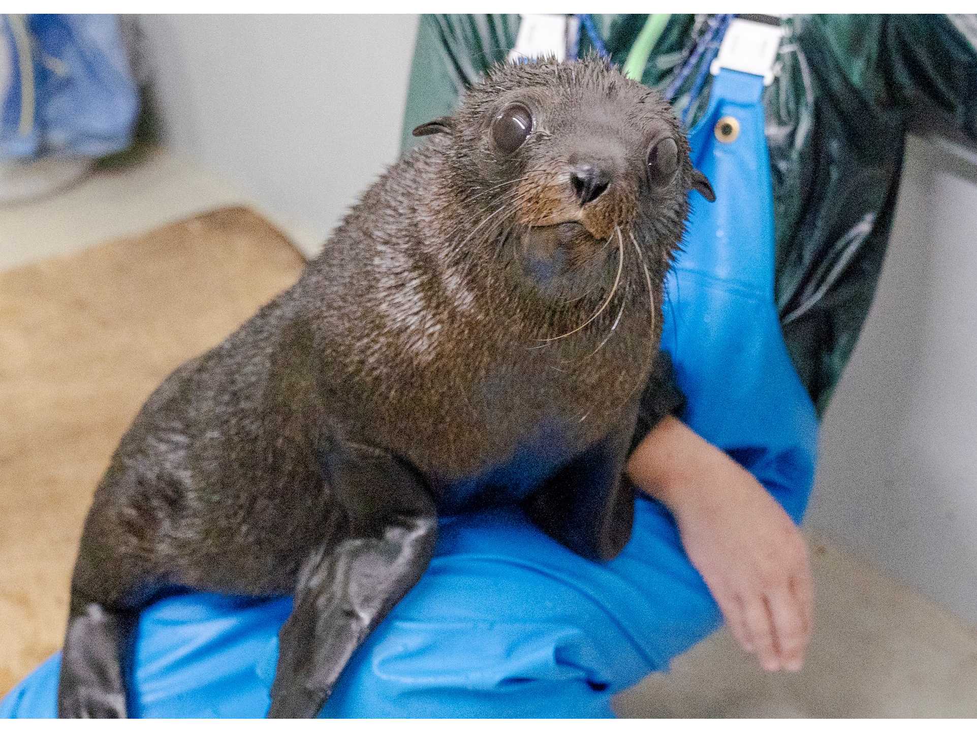 オリックス株式会社