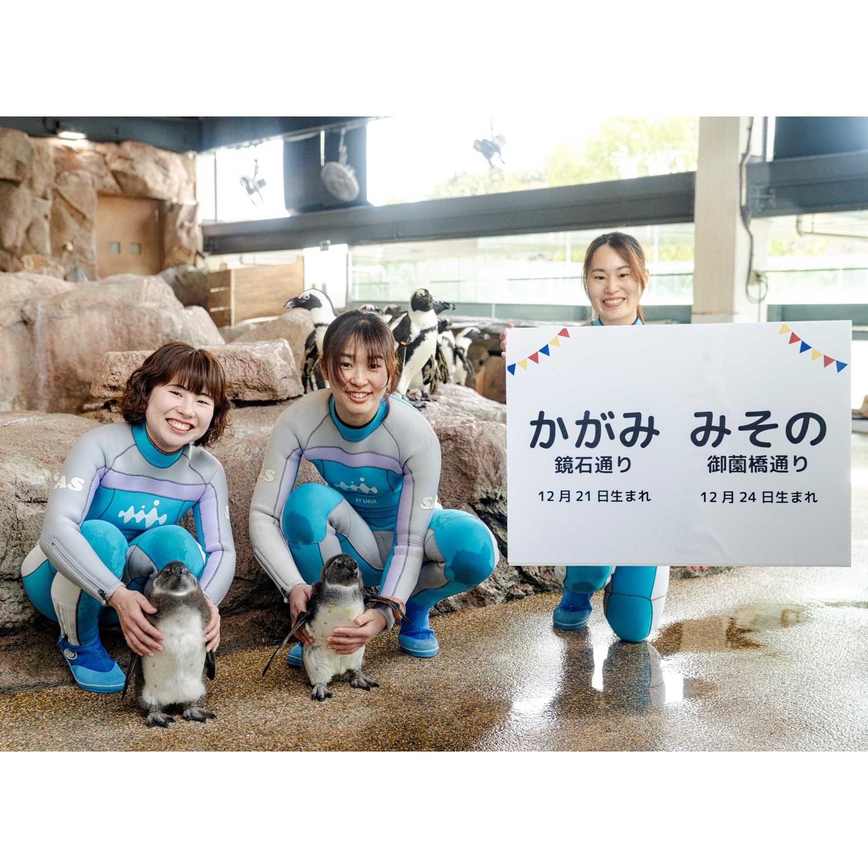 オリックス株式会社