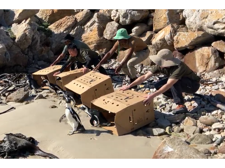 オリックス株式会社