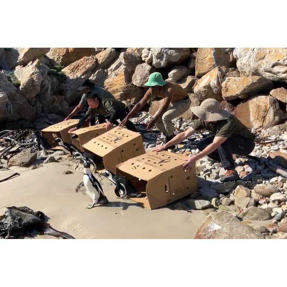 オリックス株式会社