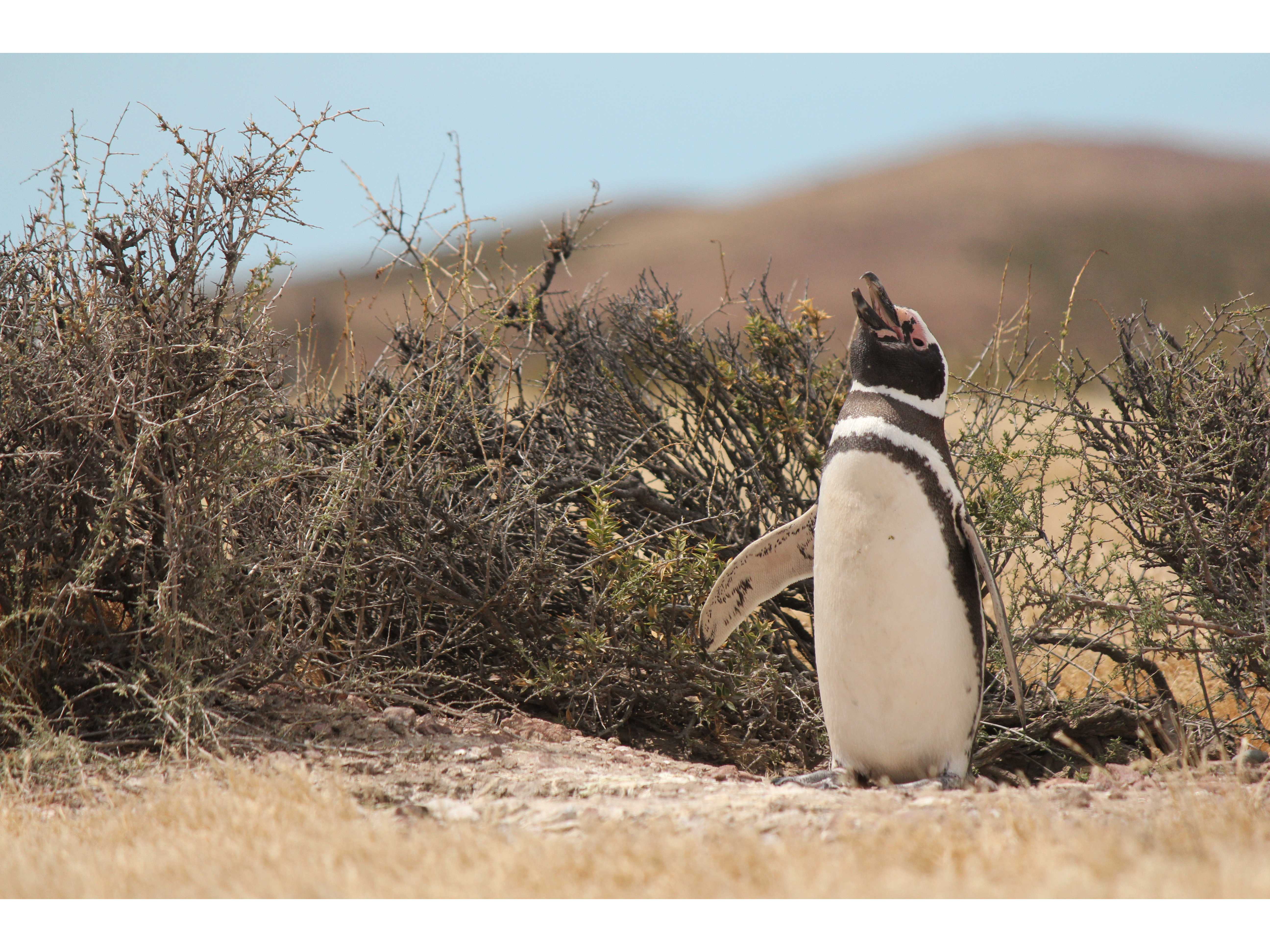 オリックス株式会社