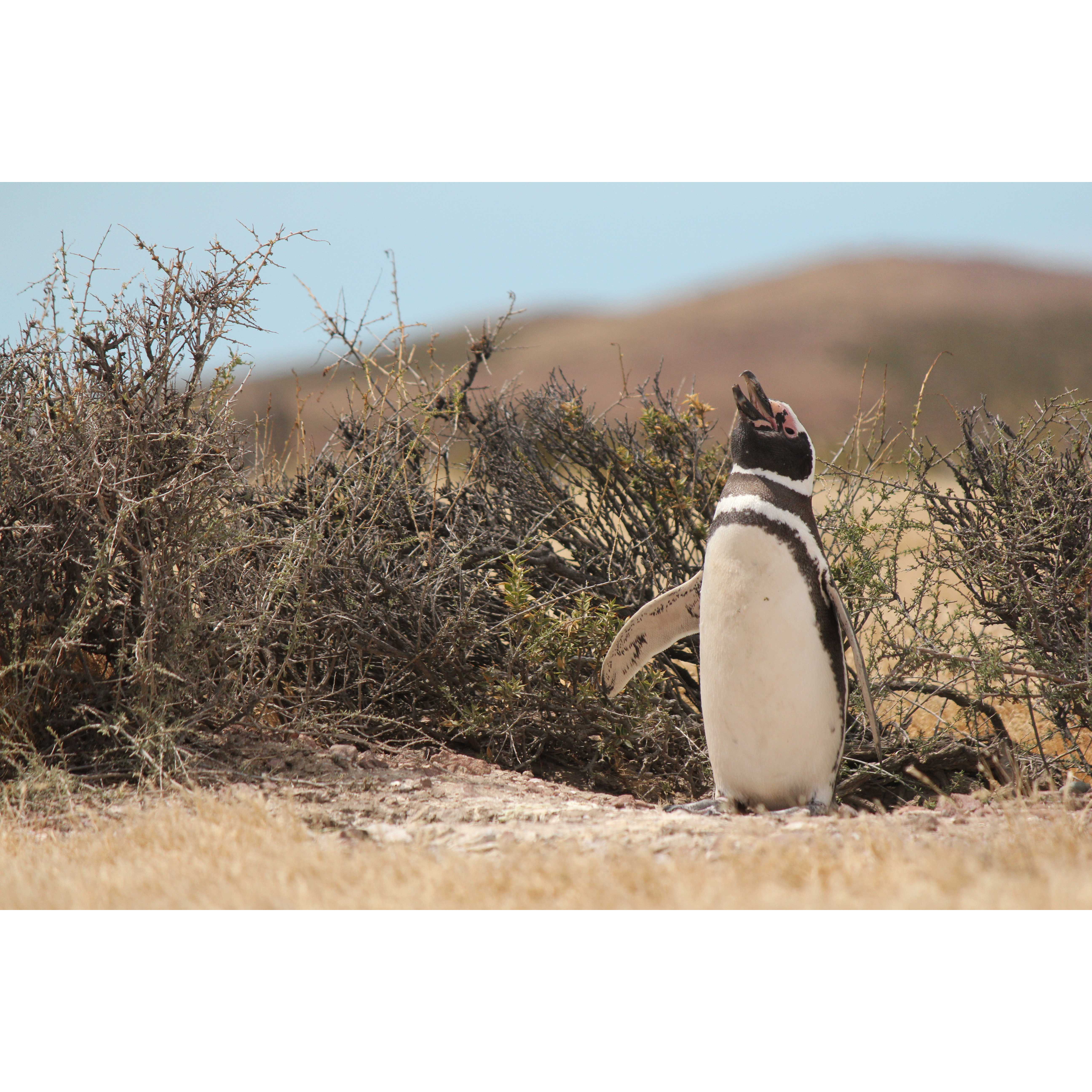 オリックス株式会社