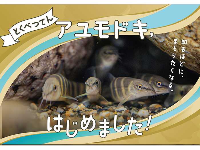 オリックス株式会社