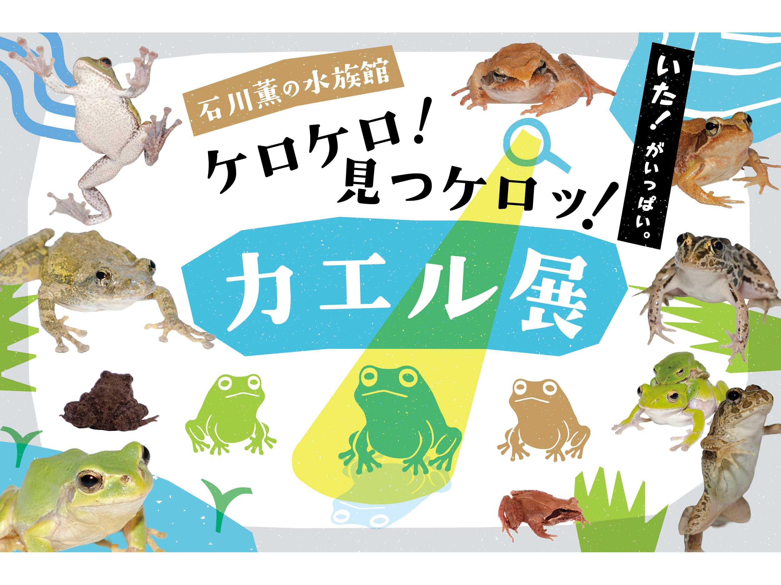 オリックス株式会社